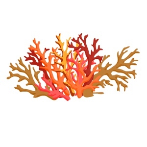 Magma Coral